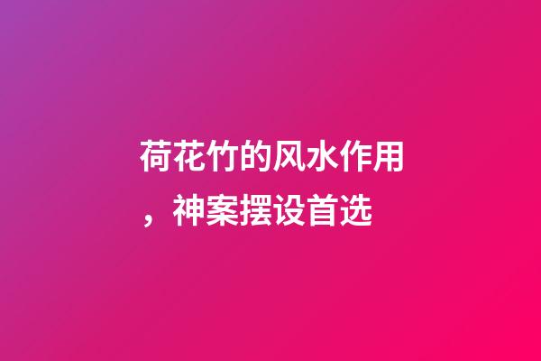 荷花竹的风水作用，神案摆设首选