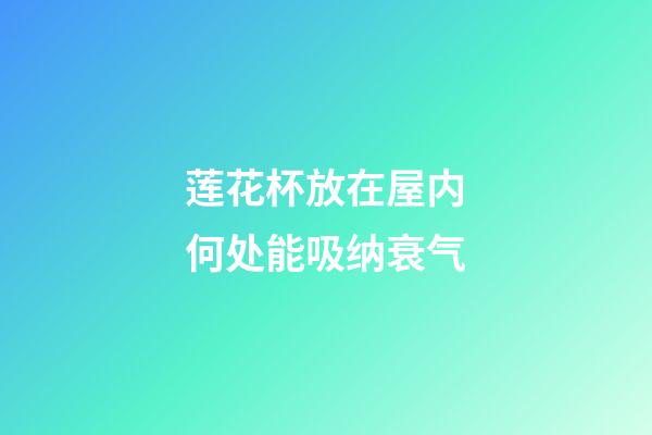 莲花杯放在屋内何处能吸纳衰气