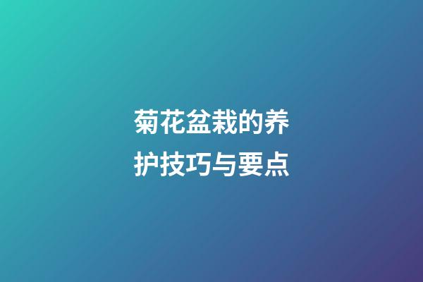 菊花盆栽的养护技巧与要点