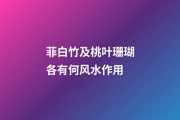 菲白竹及桃叶珊瑚各有何风水作用?