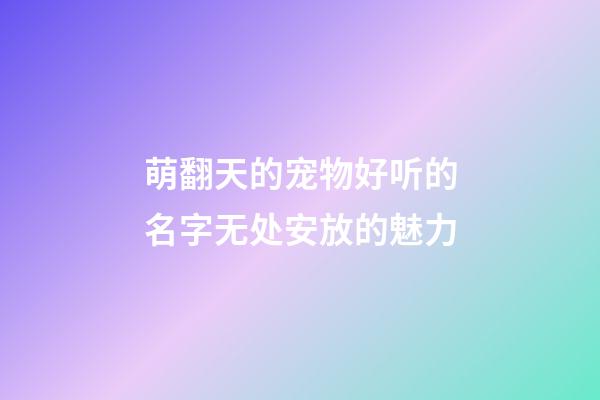 萌翻天的宠物好听的名字无处安放的魅力