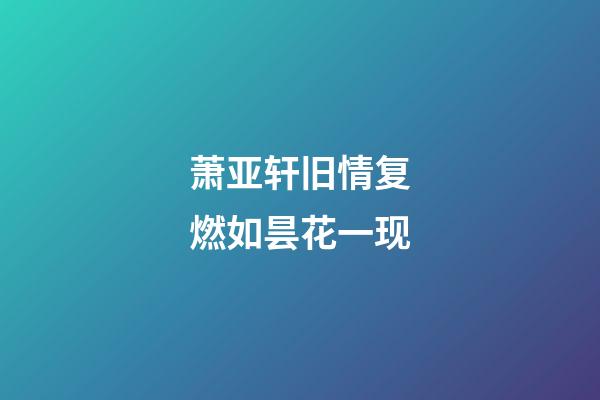 萧亚轩旧情复燃如昙花一现