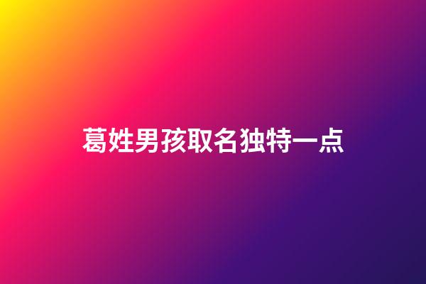 葛姓男孩取名独特一点