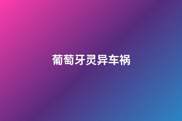 葡萄牙灵异车祸