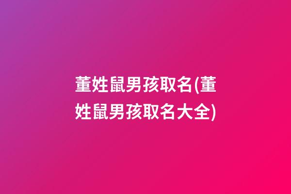 董姓鼠男孩取名(董姓鼠男孩取名大全)