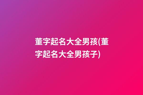 董字起名大全男孩(董字起名大全男孩子)