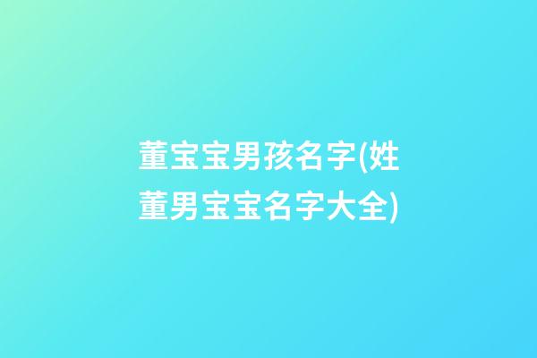 董宝宝男孩名字(姓董男宝宝名字大全)