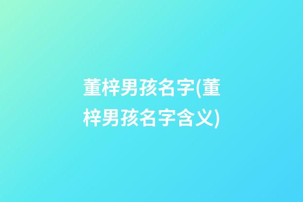 董梓男孩名字(董梓男孩名字含义)