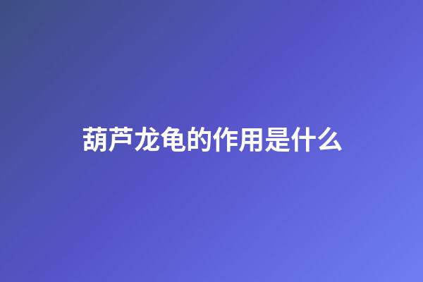 葫芦龙龟的作用是什么