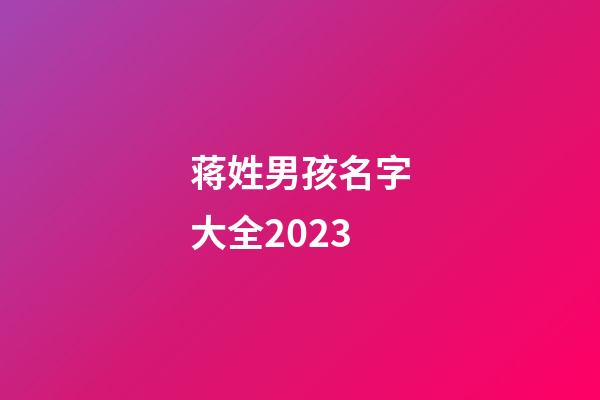 蒋姓男孩名字大全2023