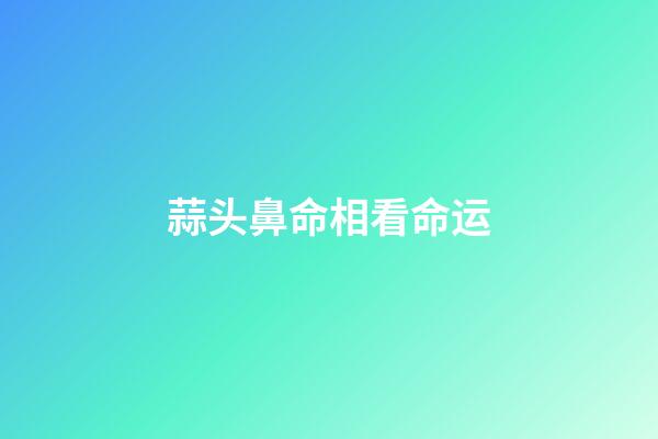 蒜头鼻命相看命运
