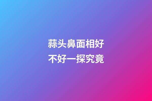 蒜头鼻面相好不好一探究竟