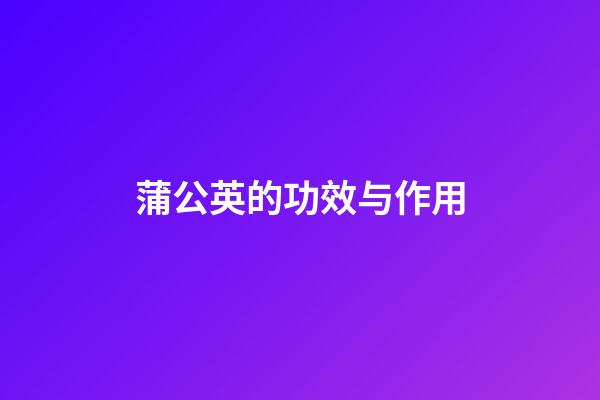蒲公英的功效与作用
