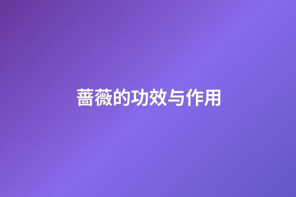 蔷薇的功效与作用