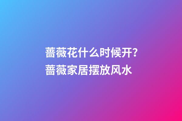 蔷薇花什么时候开？蔷薇家居摆放风水