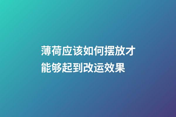 薄荷应该如何摆放才能够起到改运效果