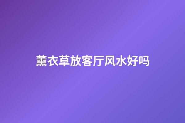 薰衣草放客厅风水好吗