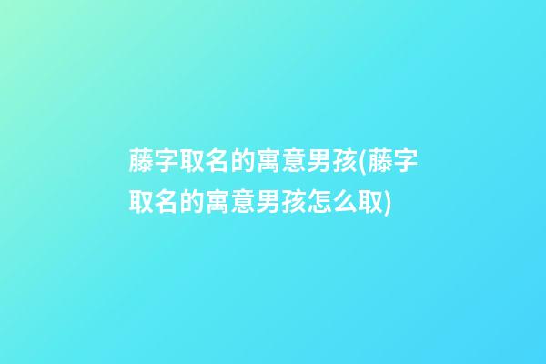 藤字取名的寓意男孩(藤字取名的寓意男孩怎么取)