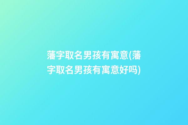 藩字取名男孩有寓意(藩字取名男孩有寓意好吗)