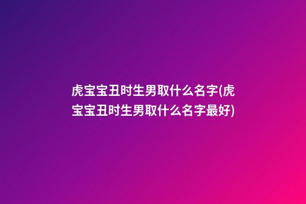 虎宝宝丑时生男取什么名字(虎宝宝丑时生男取什么名字最好)