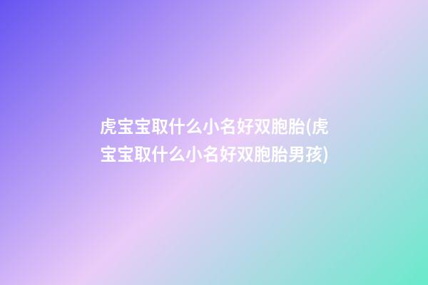虎宝宝取什么小名好双胞胎(虎宝宝取什么小名好双胞胎男孩)