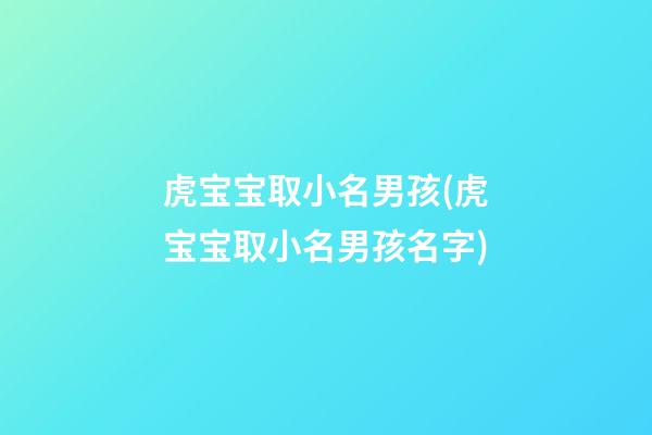 虎宝宝取小名男孩(虎宝宝取小名男孩名字)