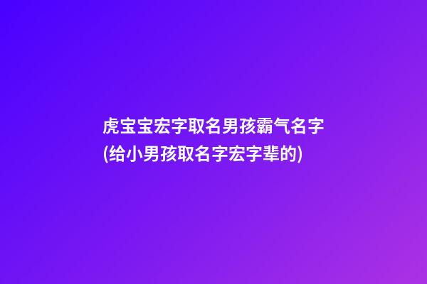 虎宝宝宏字取名男孩霸气名字(给小男孩取名字宏字辈的)