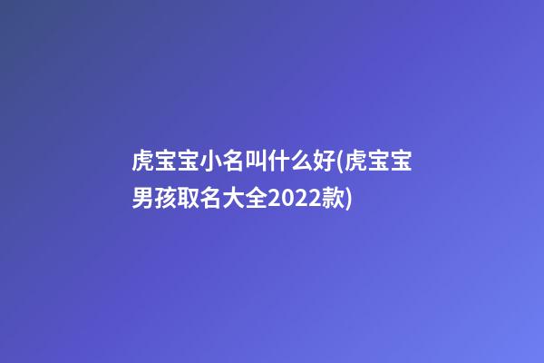 虎宝宝小名叫什么好(虎宝宝男孩取名大全2022款)