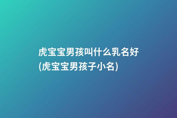 虎宝宝男孩叫什么乳名好(虎宝宝男孩子小名)