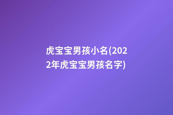 虎宝宝男孩小名(2022年虎宝宝男孩名字)