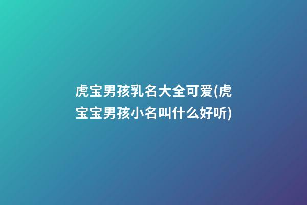 虎宝男孩乳名大全可爱(虎宝宝男孩小名叫什么好听)