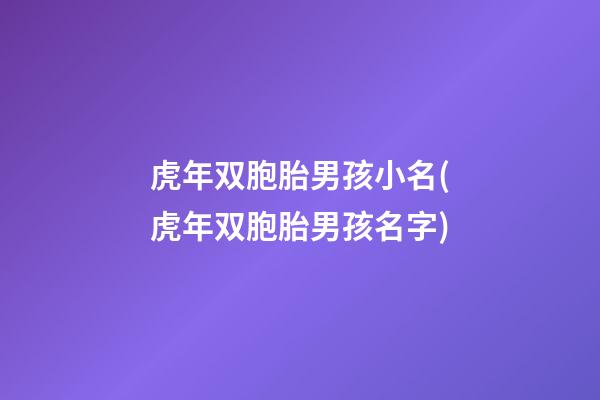 虎年双胞胎男孩小名(虎年双胞胎男孩名字)
