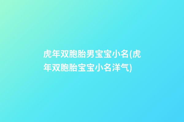 虎年双胞胎男宝宝小名(虎年双胞胎宝宝小名洋气)