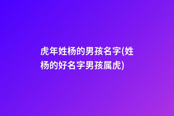 虎年姓杨的男孩名字(姓杨的好名字男孩属虎)