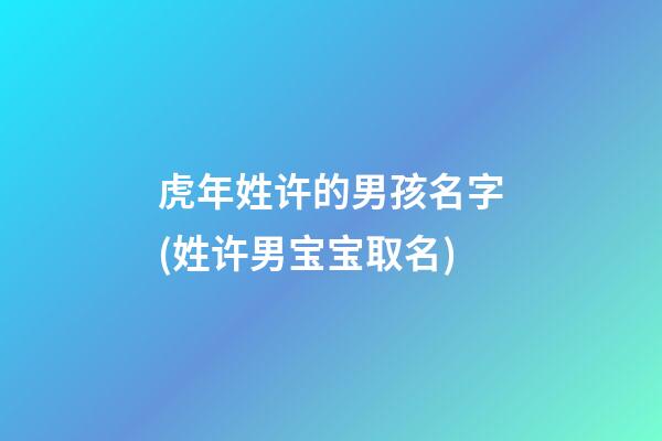 虎年姓许的男孩名字(姓许男宝宝取名)