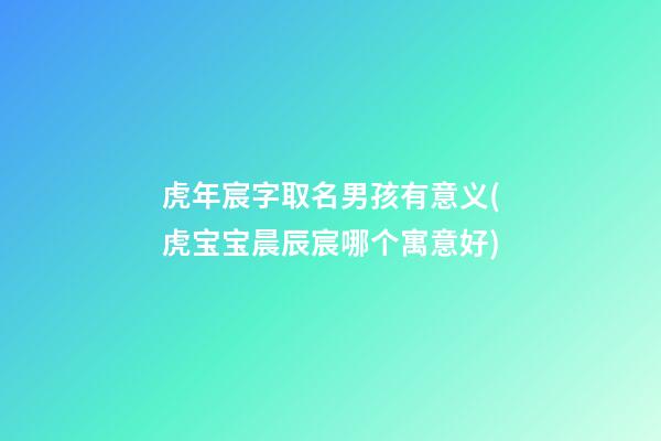 虎年宸字取名男孩有意义(虎宝宝晨辰宸哪个寓意好)