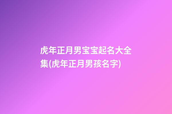 虎年正月男宝宝起名大全集(虎年正月男孩名字)