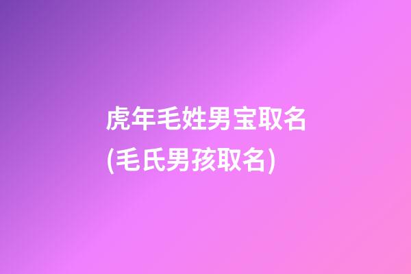 虎年毛姓男宝取名(毛氏男孩取名)