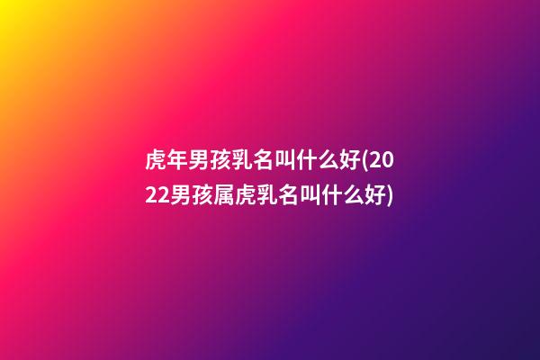 虎年男孩乳名叫什么好(2022男孩属虎乳名叫什么好)