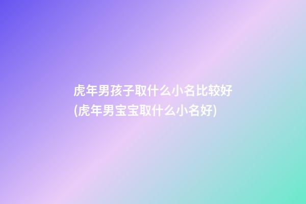 虎年男孩子取什么小名比较好(虎年男宝宝取什么小名好)