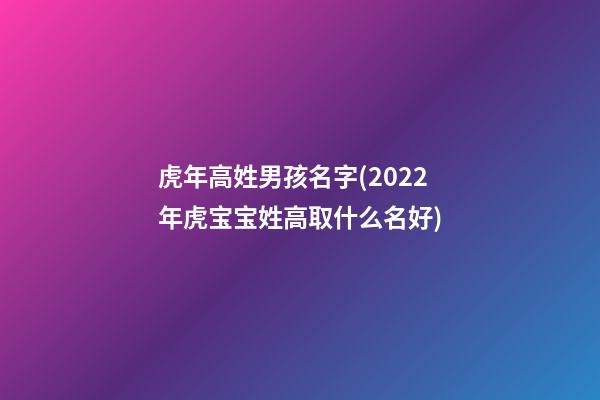 虎年高姓男孩名字(2022年虎宝宝姓高取什么名好)