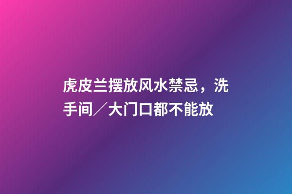 虎皮兰摆放风水禁忌，洗手间／大门口都不能放