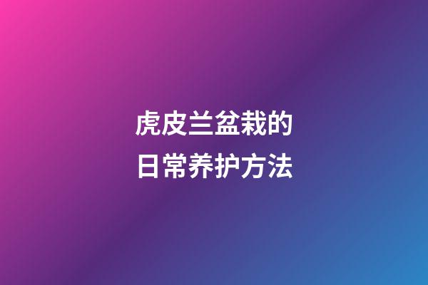 虎皮兰盆栽的日常养护方法