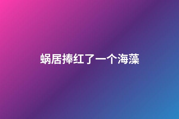 蜗居捧红了一个海藻