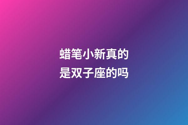蜡笔小新真的是双子座的吗-第1张-星座运势-玄机派