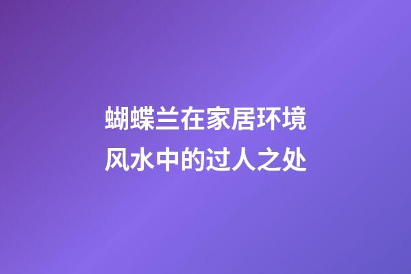 蝴蝶兰在家居环境风水中的过人之处