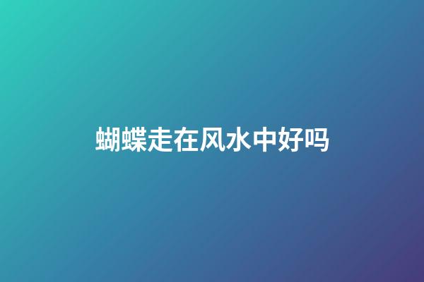 蝴蝶走在风水中好吗