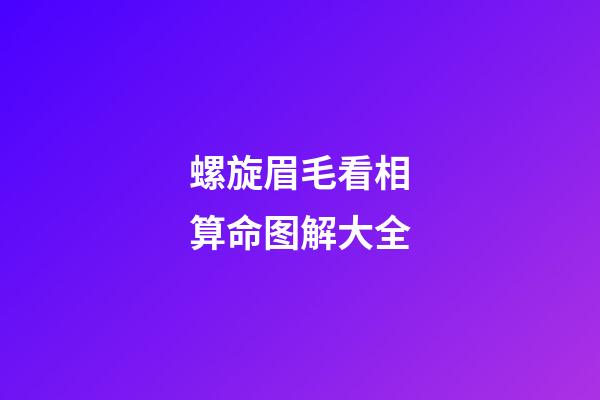 螺旋眉毛看相算命图解大全