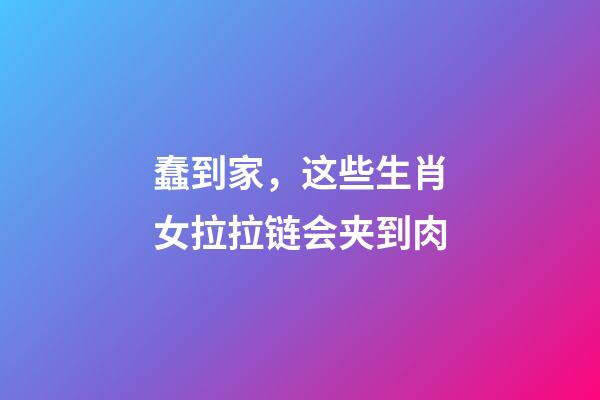 蠢到家，这些生肖女拉拉链会夹到肉