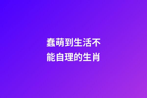 蠢萌到生活不能自理的生肖